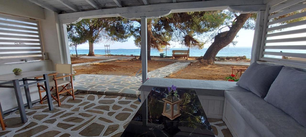 نيكيتي "Pine&Sea" Kastamoniti Beach المظهر الخارجي الصورة