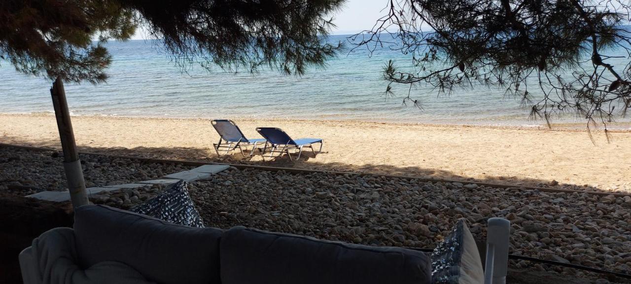 نيكيتي "Pine&Sea" Kastamoniti Beach المظهر الخارجي الصورة