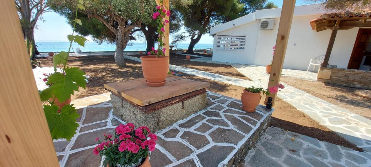 نيكيتي "Pine&Sea" Kastamoniti Beach المظهر الخارجي الصورة
