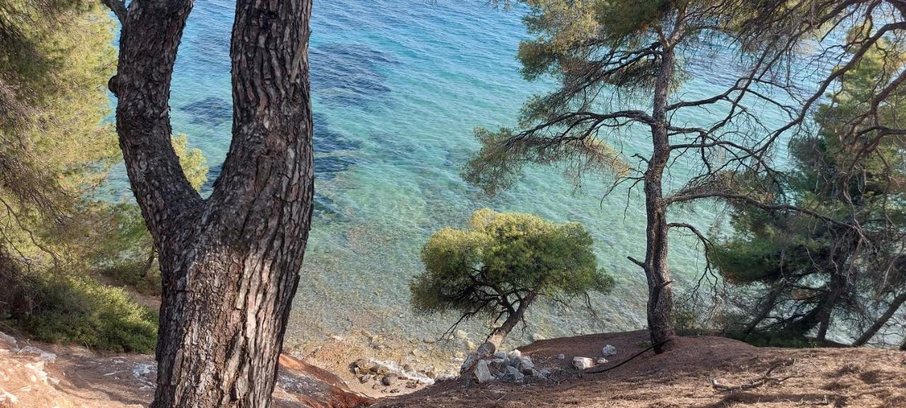 نيكيتي "Pine&Sea" Kastamoniti Beach المظهر الخارجي الصورة